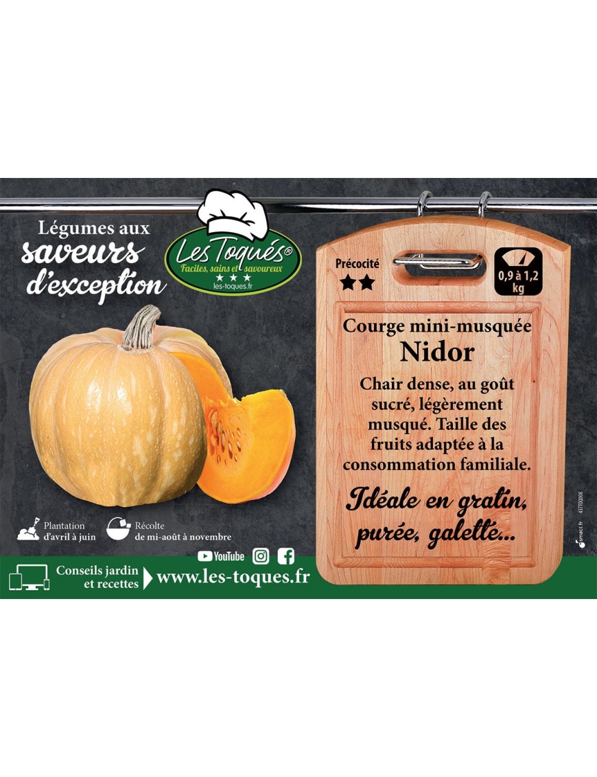 Courge mini-musquée Nidor