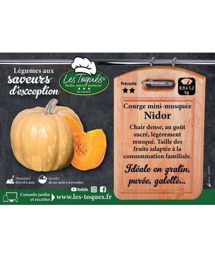 Courge mini-musquée Nidor