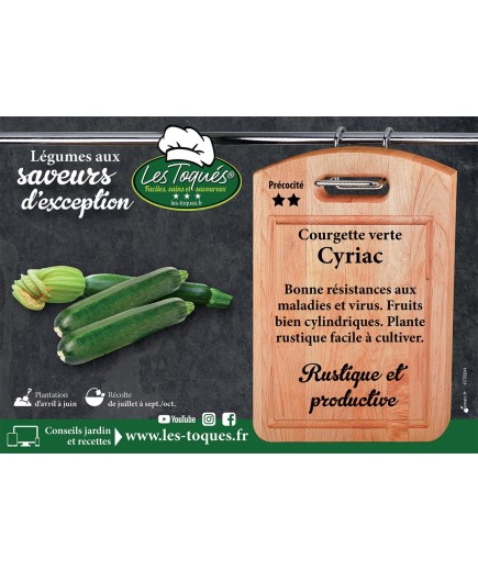 Courgette verte Cyriac