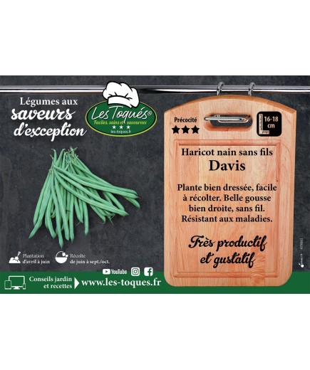 Haricot nain sans fil Davis
