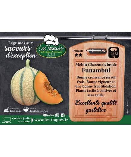 Melon Charentais brodé Funambul
