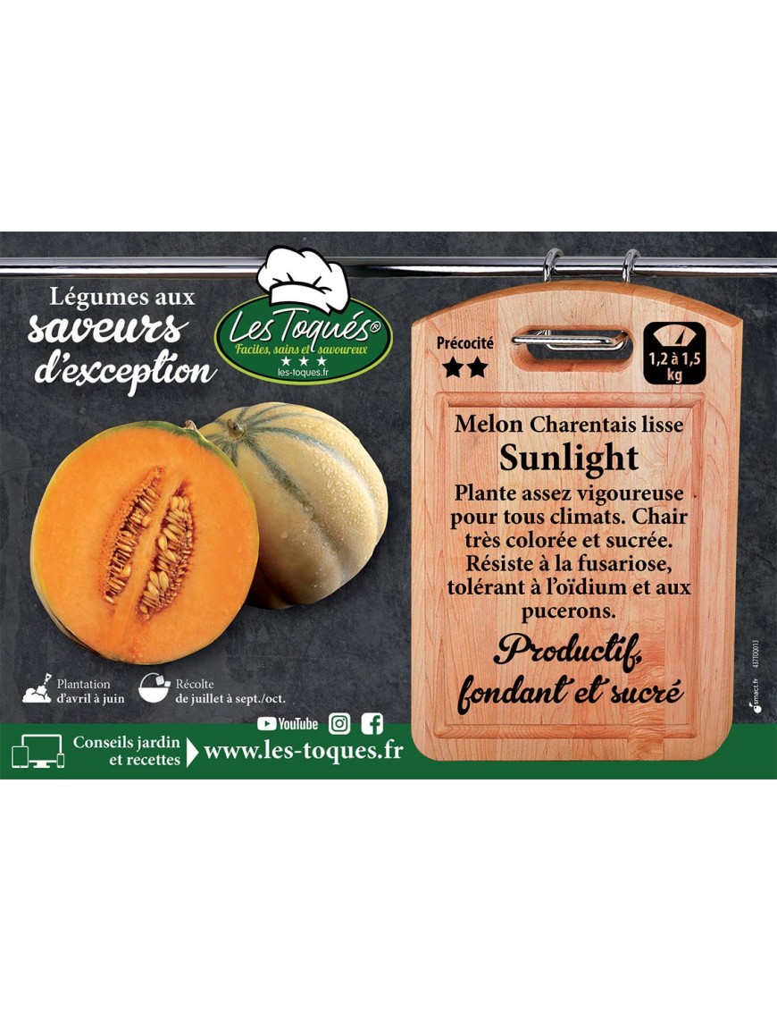 Melon Charentais lisse Sunlight