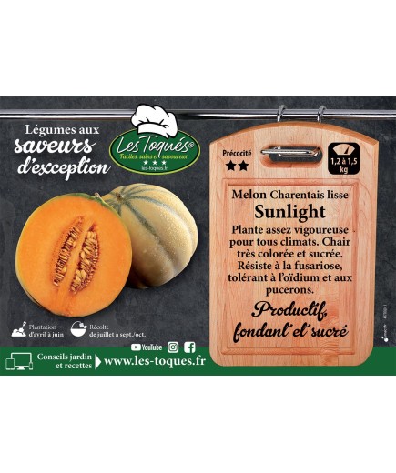 Melon Charentais lisse Sunlight