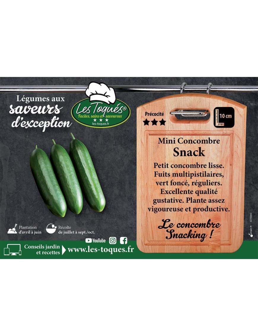 Mini Concombre Snack