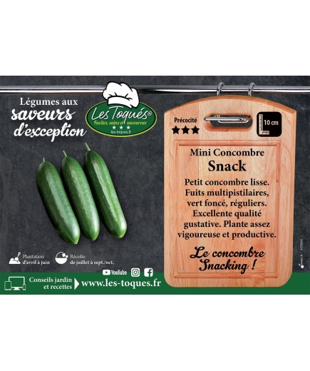 Mini Concombre Snack