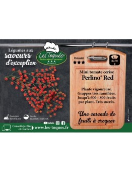 Mini Tomate cerise Perlino®  Red