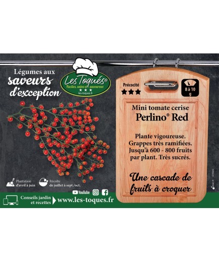 Mini Tomate cerise Perlino®  Red