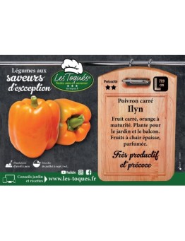 Poivron carré Ilyn