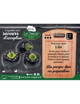 Poivron carré Lilo