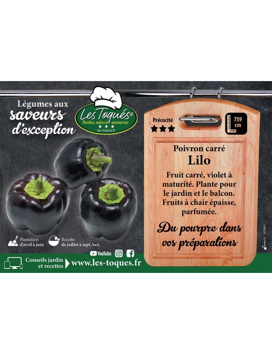Poivron carré Lilo