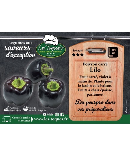 Poivron carré Lilo