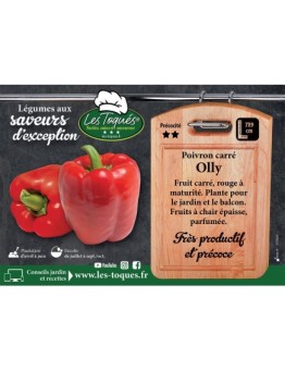 Poivron carré Olly