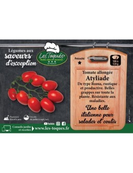Tomate allongée Atyliade