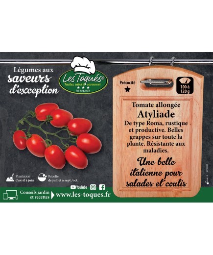 Tomate allongée Atyliade