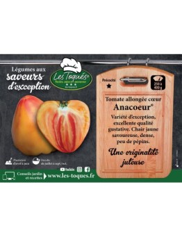 Tomate allongée cœur Anacoeur®