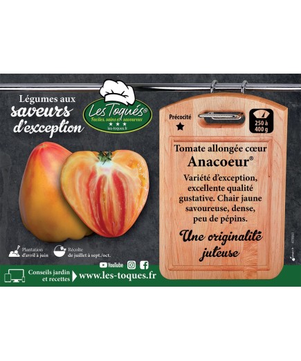 Tomate allongée cœur Anacoeur®