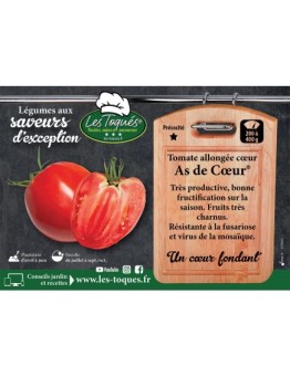 Tomate allongée cœur As de Cœur® (CO 412 88)