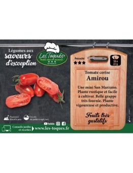 Tomate cerise Amirou