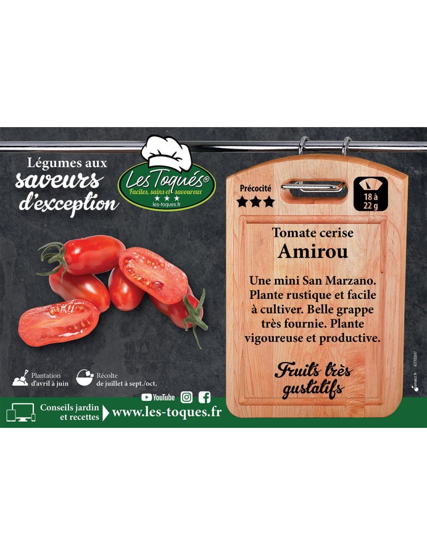 Tomate cerise Amirou