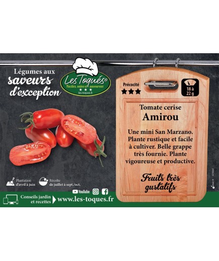 Tomate cerise Amirou