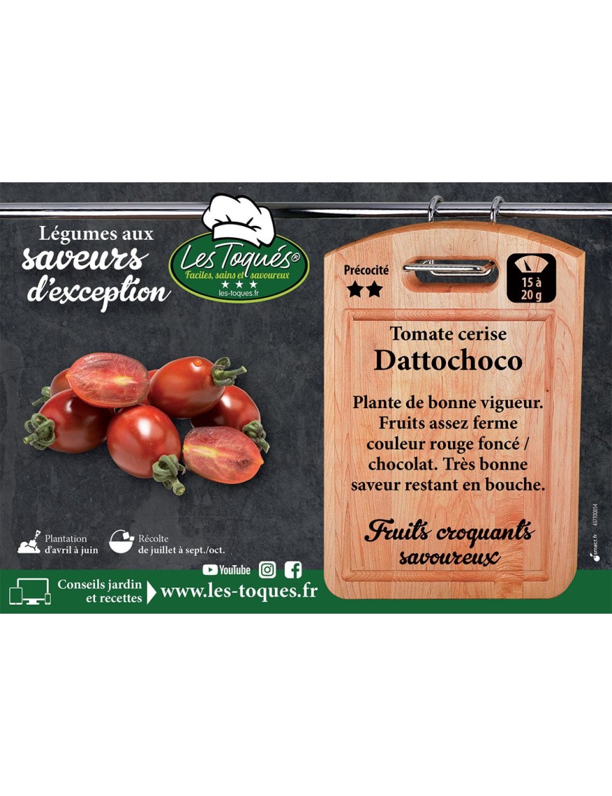 Tomate cerise Dattochoco