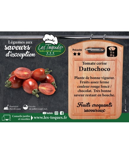Tomate cerise Dattochoco