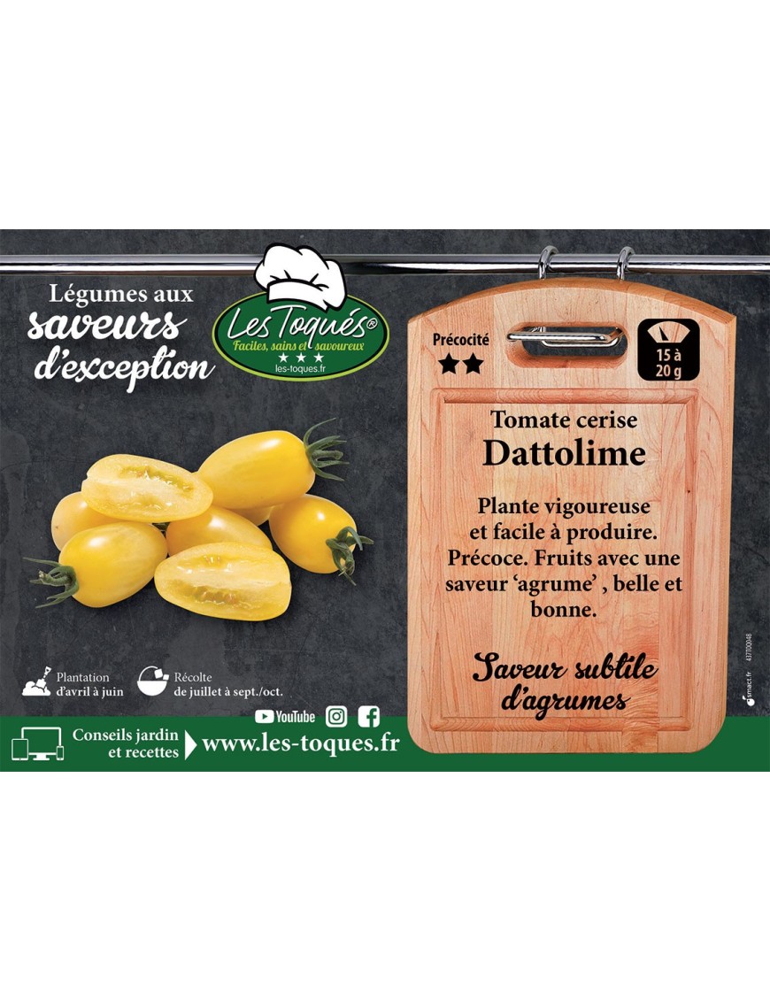 Tomate cerise Dattolime