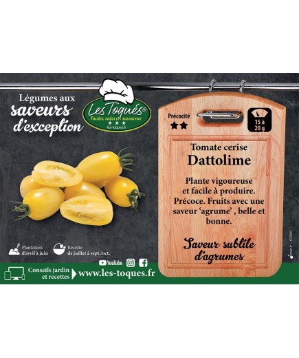 Tomate cerise Dattolime