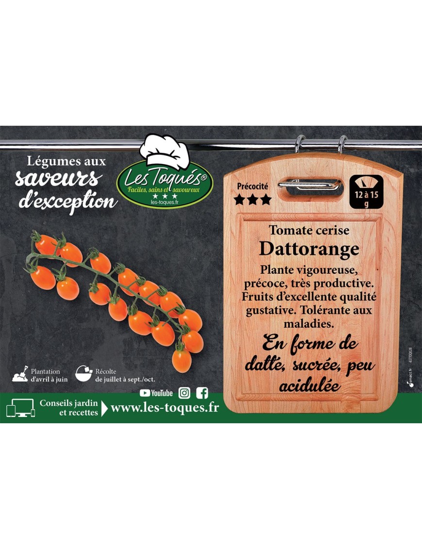 Tomate cerise Dattorange