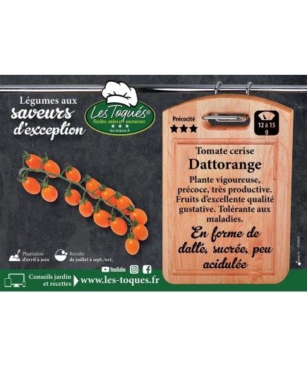Tomate cerise Dattorange