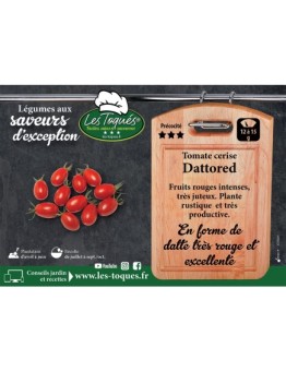 Tomate cerise Dattored