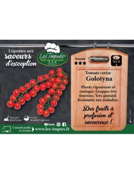 Tomate cerise Golotyna
