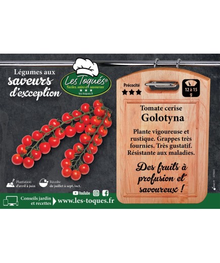 Tomate cerise Golotyna