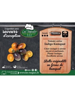 Tomate cerise Indigo Kumquat