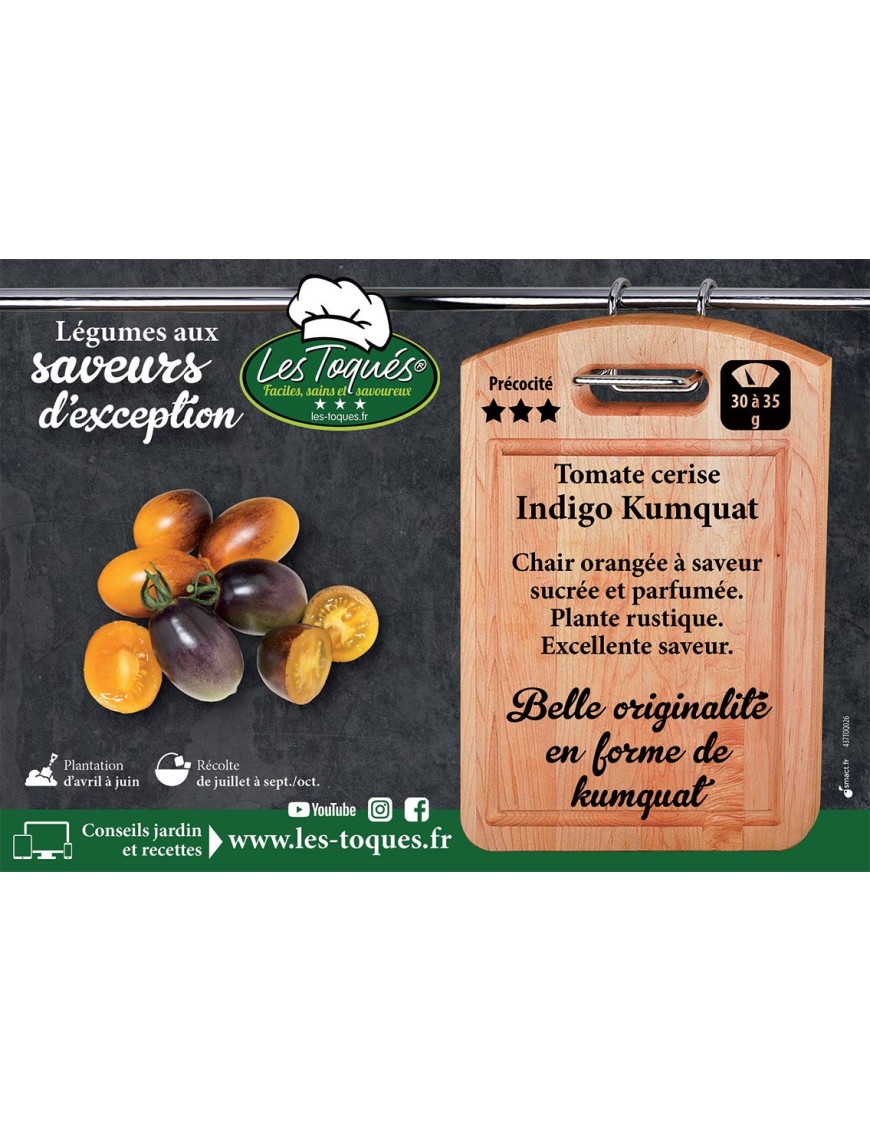 Tomate cerise Indigo Kumquat