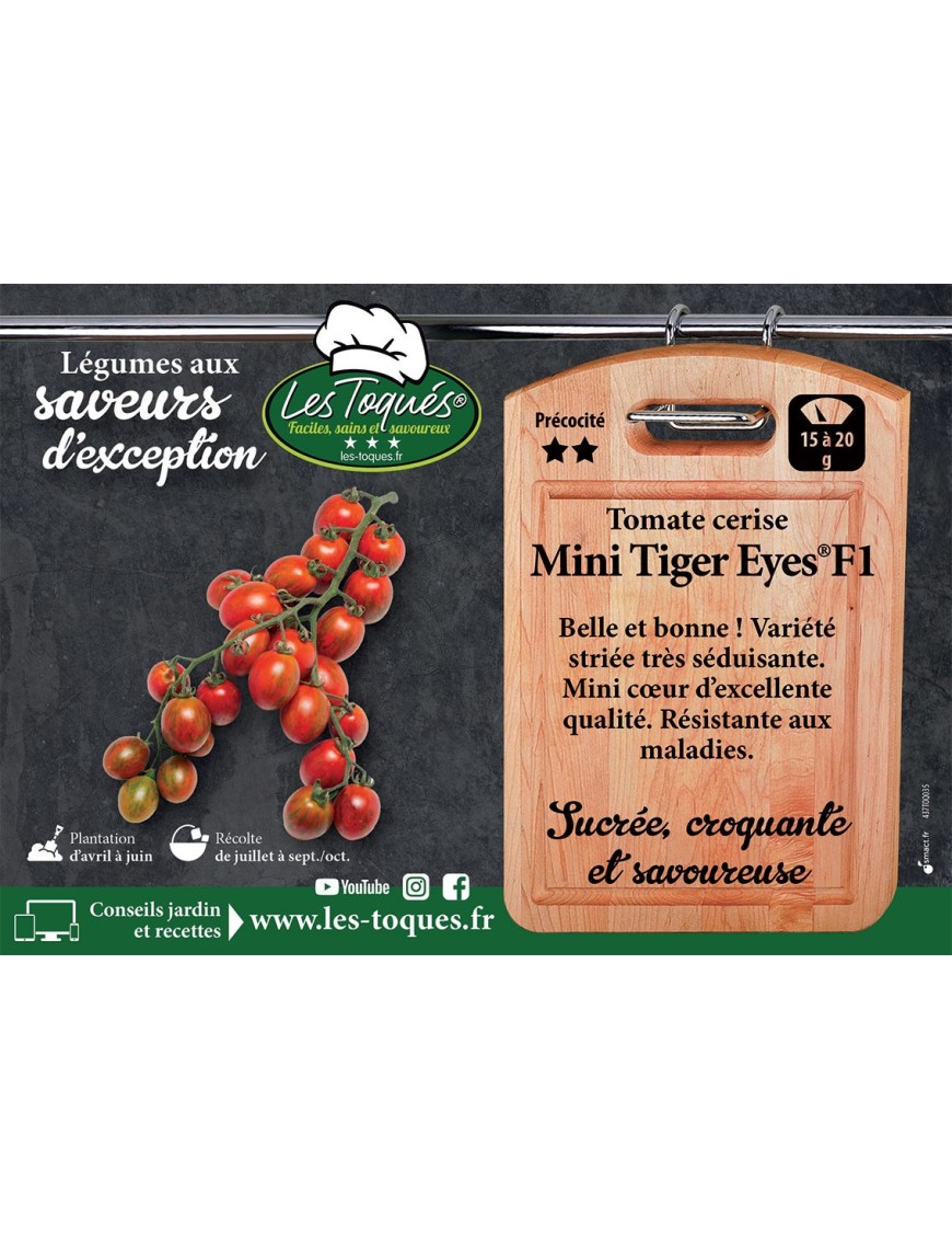 Tomate cerise Mini Tiger Eyes® F1