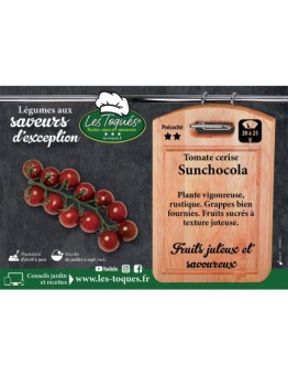 Tomate cerise Sunchocola