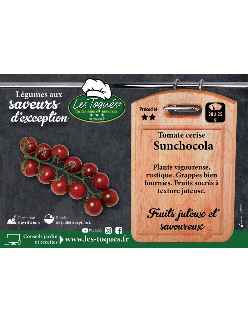 Tomate cerise Sunchocola