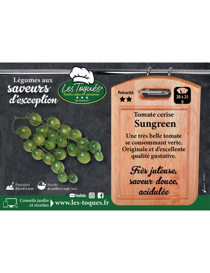 Tomate cerise Sungreen