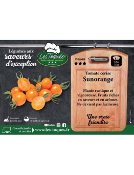 Tomate cerise Sunorange