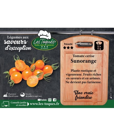 Tomate cerise Sunorange