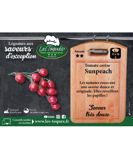 Tomate cerise Sunpeach