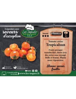 Tomate cerise Tropicalsun
