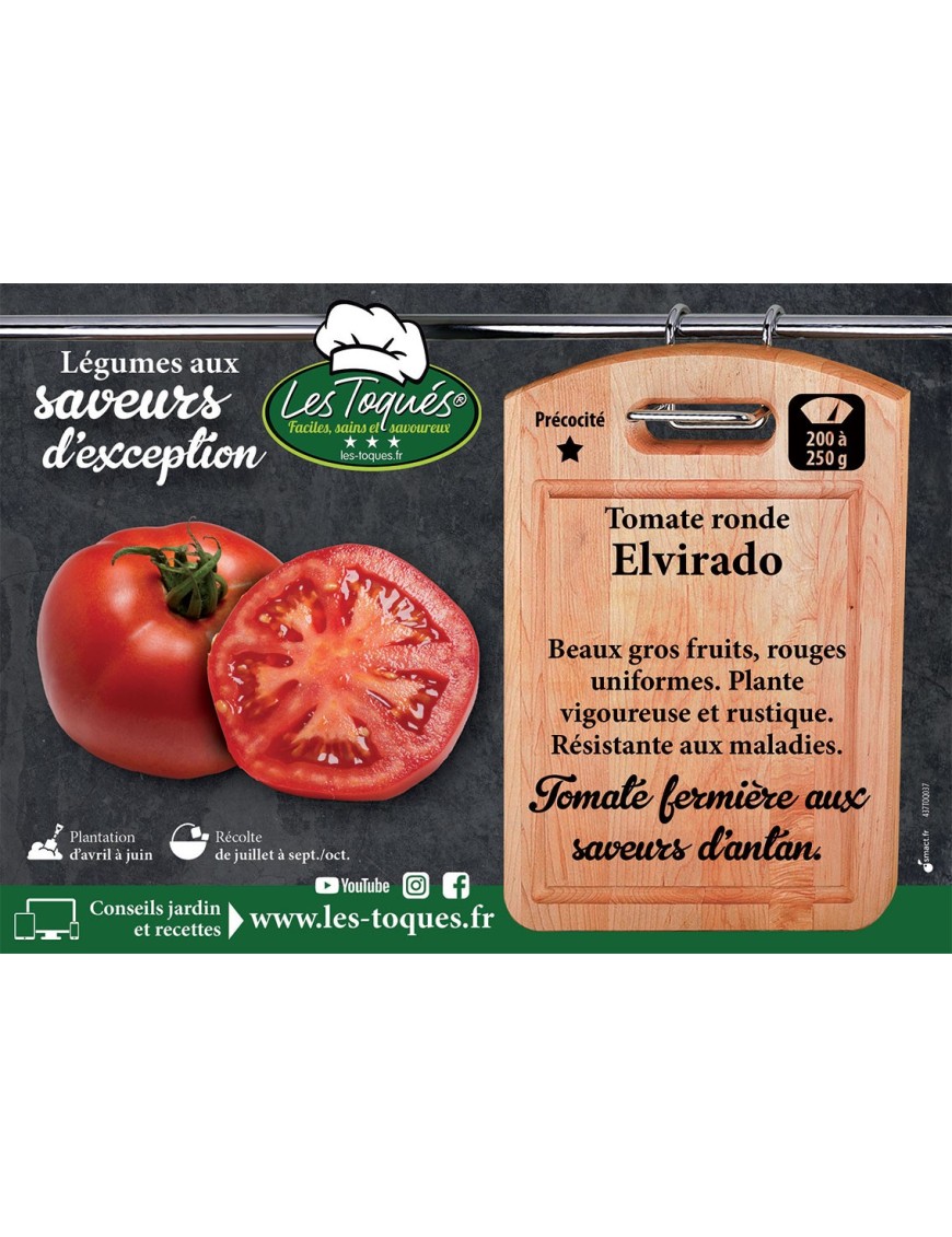 Tomate Elvirado