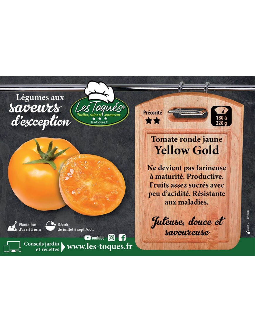 Tomate ronde jaune Yellow Gold