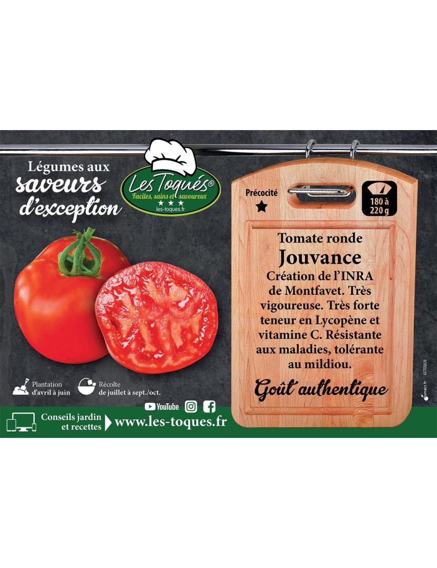Tomate ronde Jouvance