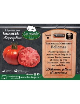 Tomate ronde Marmande Bellemar