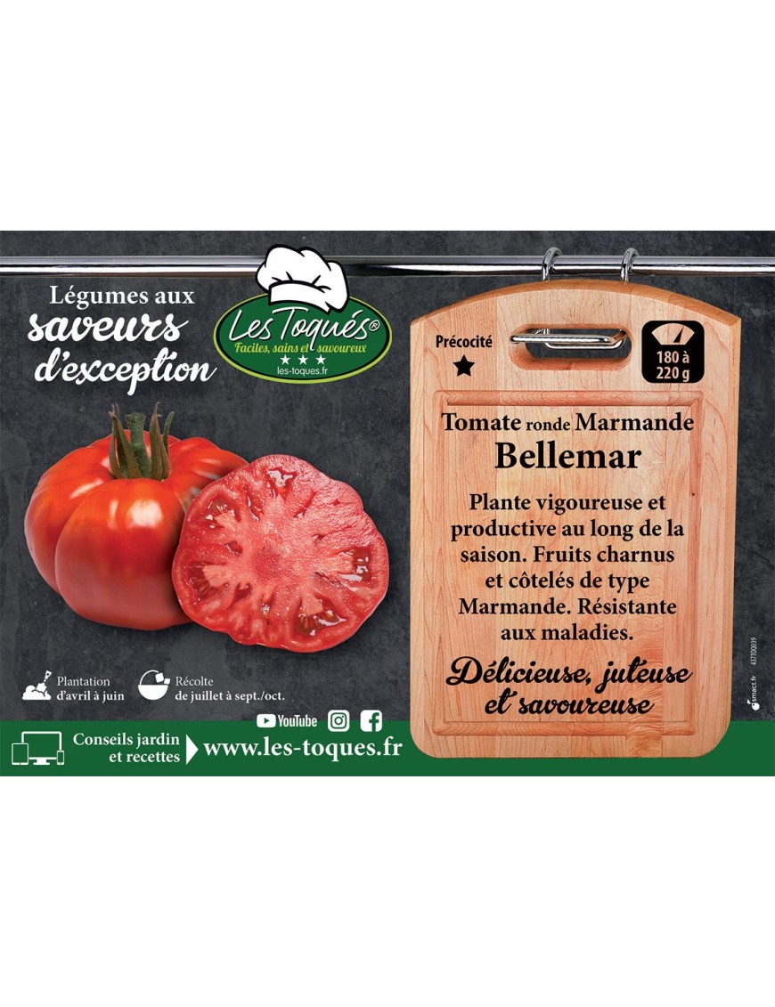 Tomate ronde Marmande Bellemar
