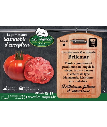 Tomate ronde Marmande Bellemar