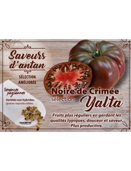 Tomate Noire de Crimée sélection Yalta